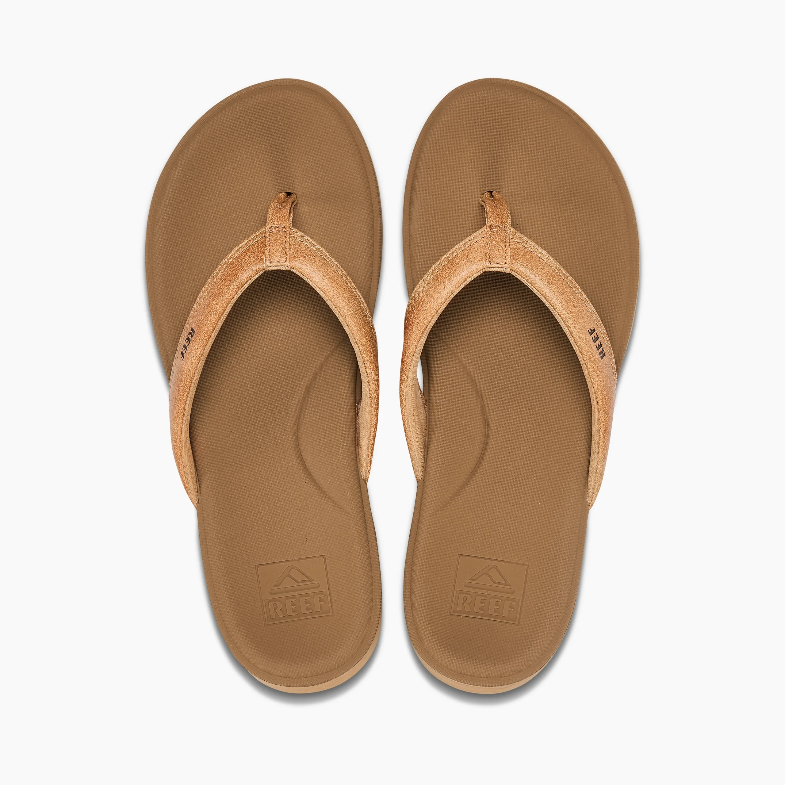 CJ0233_T-scaled-1.webp