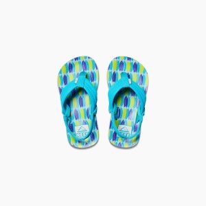 Little Ahi