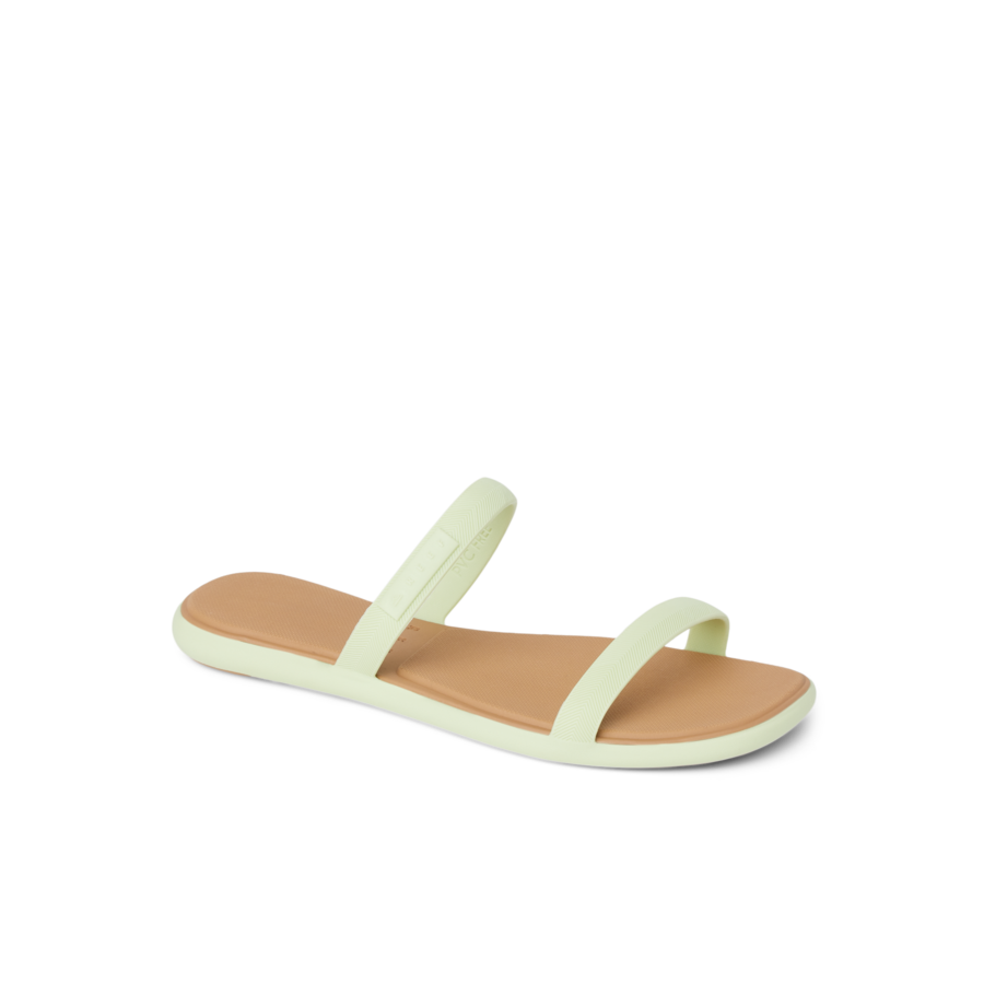 CJ7692_WATER_WILLOW_MARINA_ALOE_MAIN-900x900-c4cc11b.png