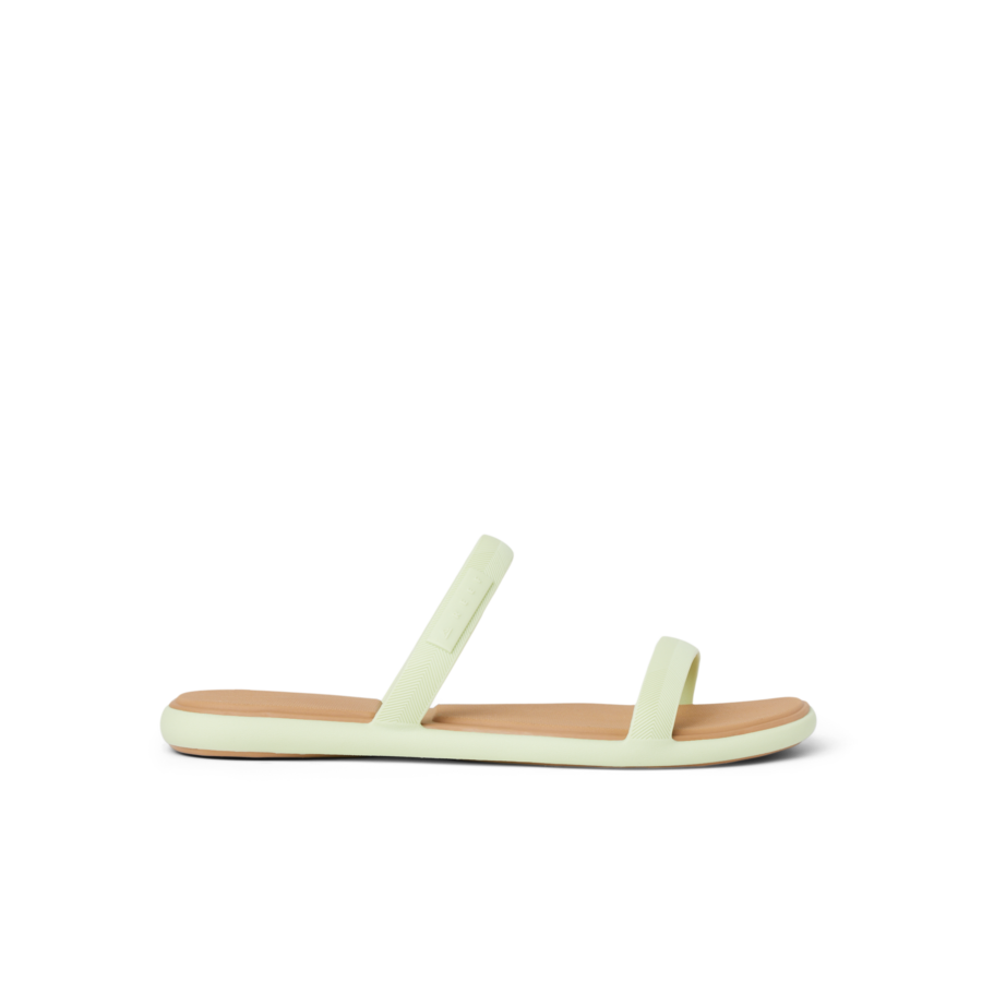 CJ7692_WATER_WILLOW_MARINA_ALOE_RS-900x900-c4cc11b-1.png