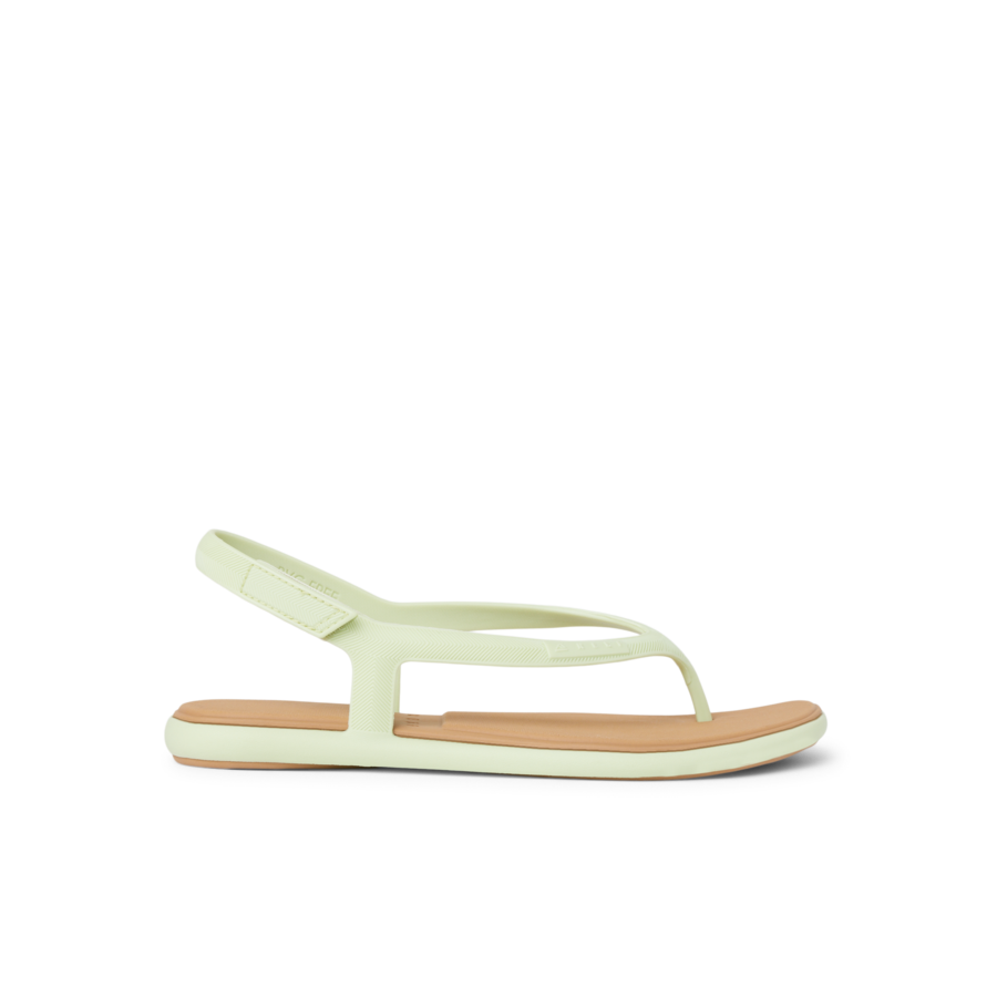 CJ7693_WATER_WILLOW_MAYA_ALOE_RS-900x900-c4cc11b.png