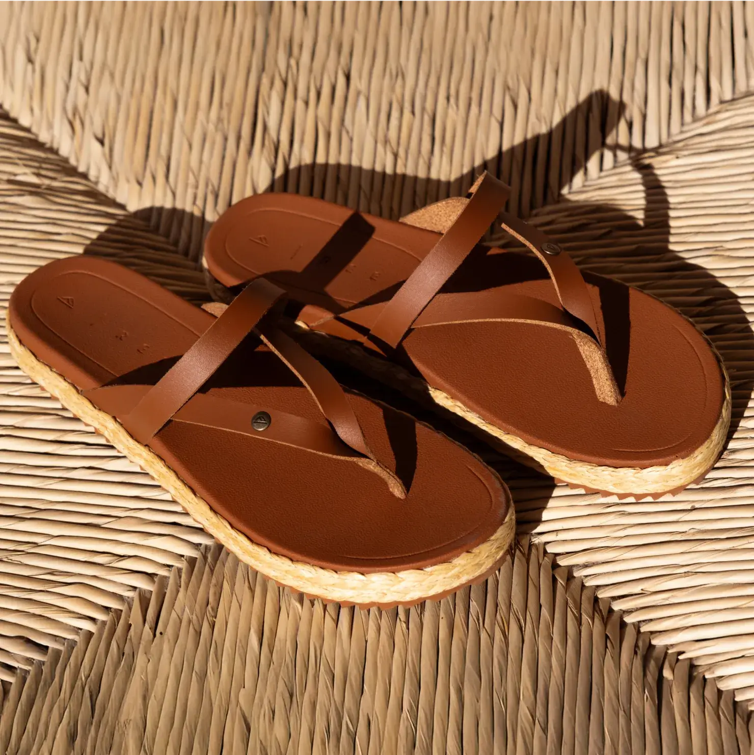 PDP-Carmen_Cocoa-PDPALT-2.png